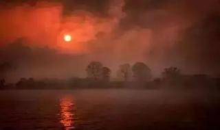 无人与我立黄昏 无人与我立黄昏