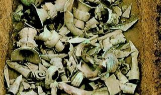 青铜树修复后将展出 青铜树修复后将展出