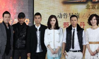 甄子丹和赵文卓 甄子丹和赵文卓