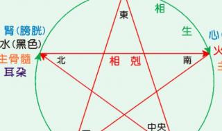 五脏六腑的位置 五脏六腑的位置