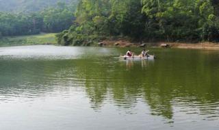 深圳九龙生态园 深圳九龙生态园