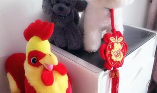 大年三十长辈祝福语 大年三十长辈祝福语