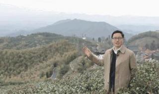 径山茶的功效与作用 径山茶的功效与作用