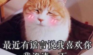 100种聊天幽默开场白