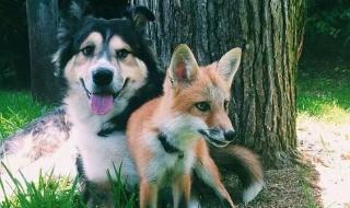 只要有你一起唱 只要有你一起唱