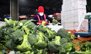 寿光农产品物流园 寿光农产品物流园