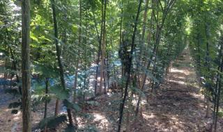 兖州十六中 兖州十六中