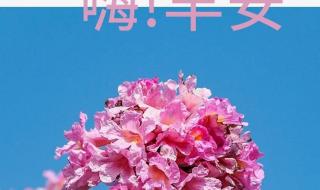 健康快乐早上好祝福语 健康快乐早上好祝福语