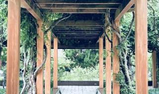 天津师范大学新空气 天津师范大学新空气