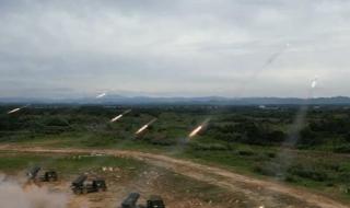 加特林烟花多少钱一个 加特林烟花多少钱一个