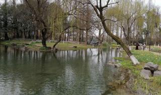 杭州太子湾公园门票 杭州太子湾公园门票