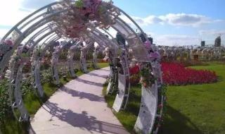 上海崇明新楼盘 上海崇明新楼盘