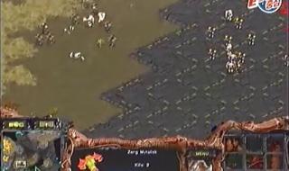 jaedong第一视角 jaedong第一视角