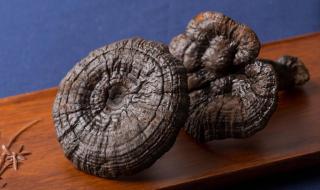 起死回生的故事 起死回生的故事