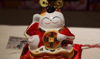 手疾眼快的动物打生肖 手疾眼快的动物打生肖